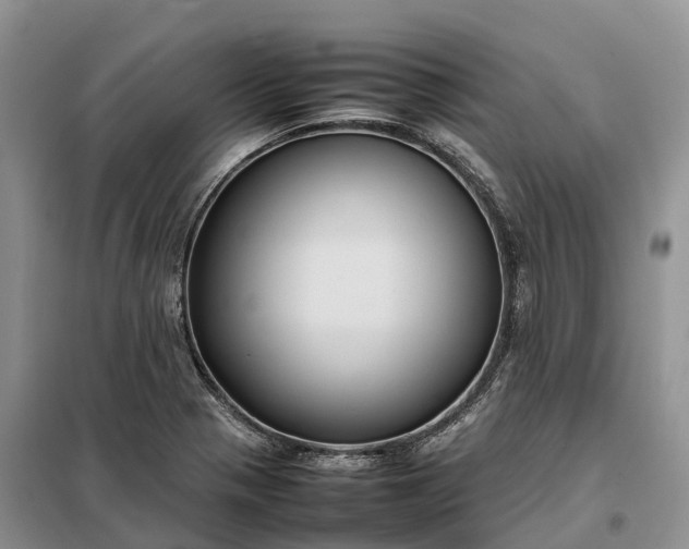 X0000098001321200804071208