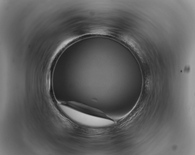 X0000098001323200804071208