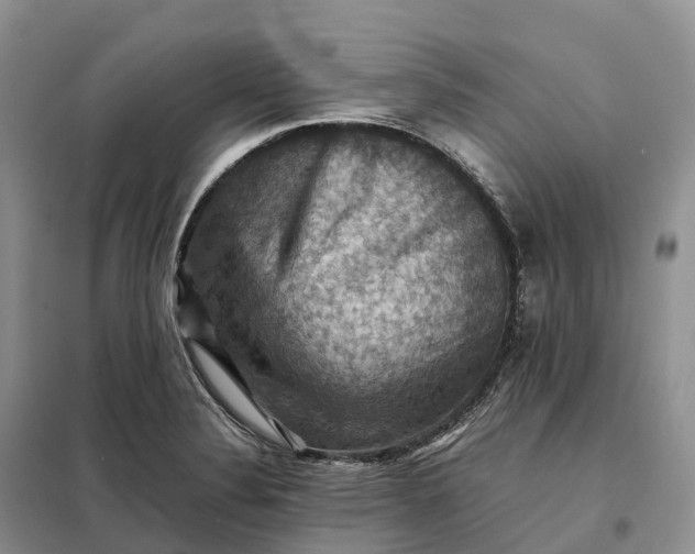 X0000098001324200804071208