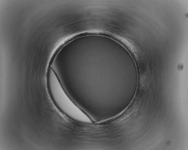 X0000098001327200804071208