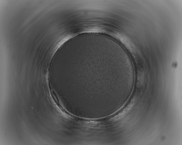 X0000098001329200804071208