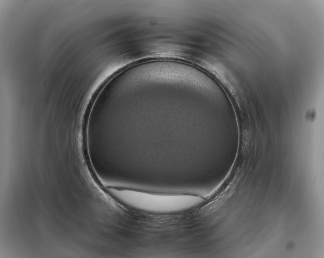 X0000098001331200804071208