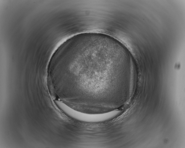 X0000098001332200804071208
