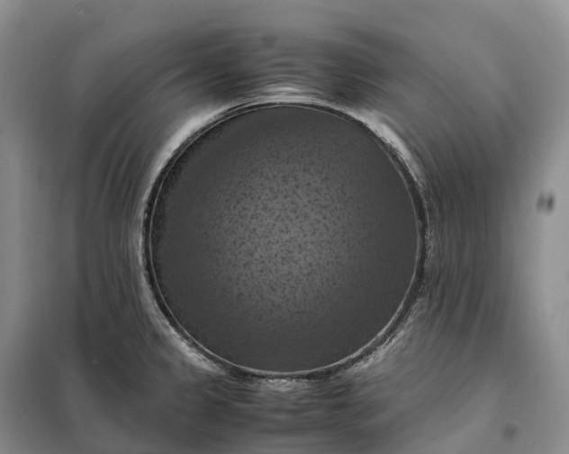 X0000098001333200804071208