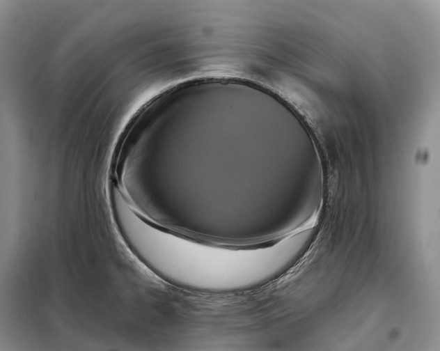 X0000098001334200804071208