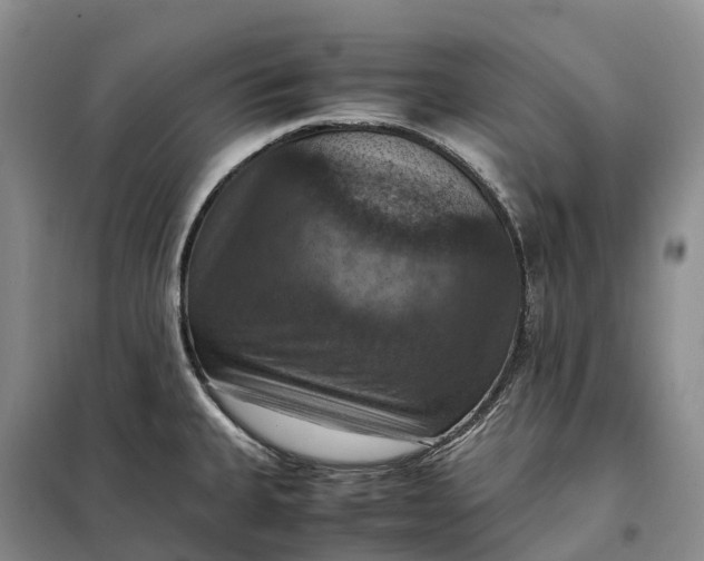 X0000098001335200804071208