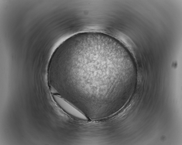 X0000098001336200804071208