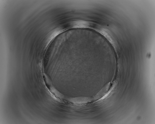 X0000098001337200804071208