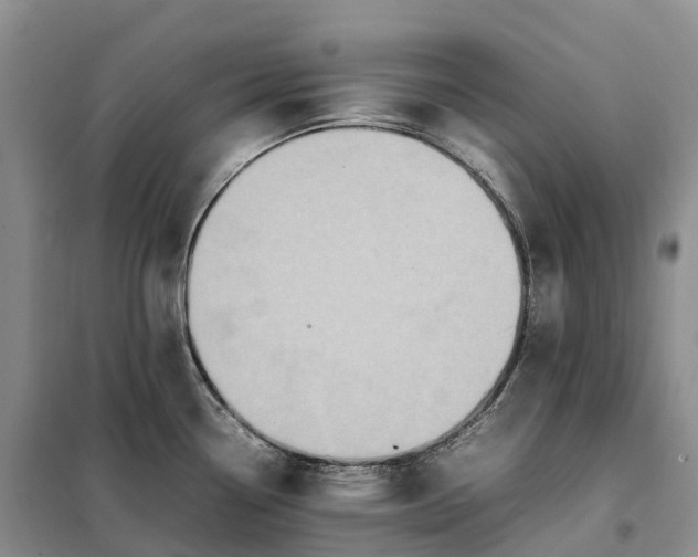 X0000098001338200804071208