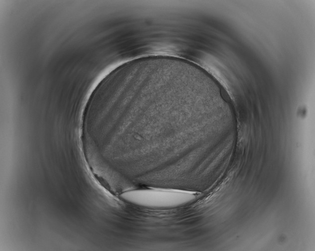 X0000098001339200804071208