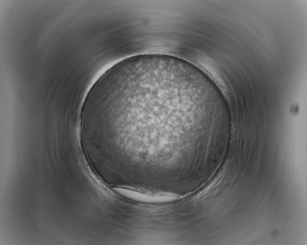 X0000098001340200804071208