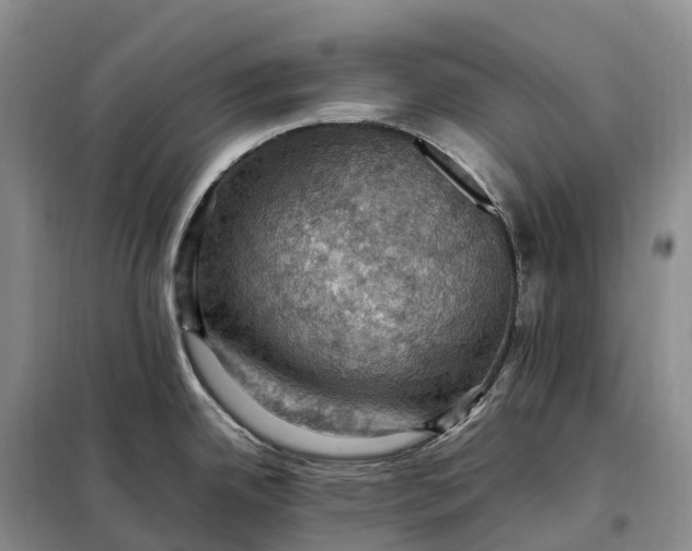 X0000098001342200804071208