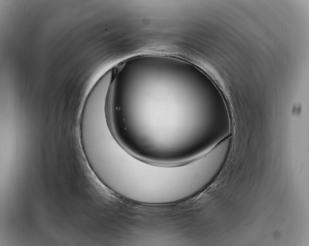 X0000098001344200804071208