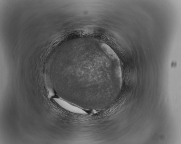 X0000098001345200804071208