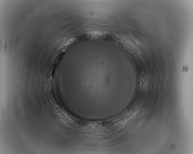 X0000098001346200804071208