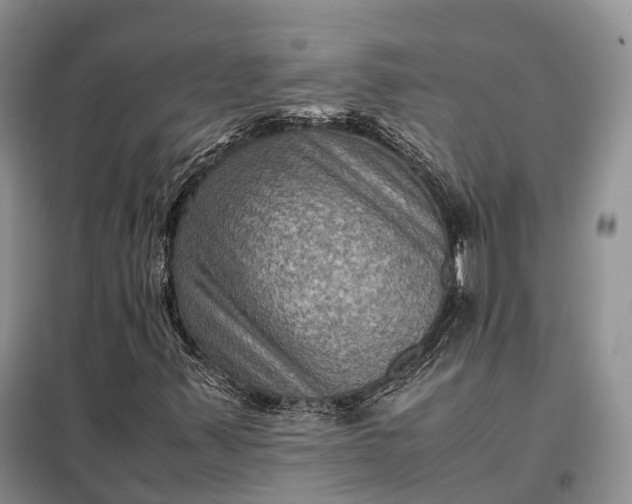 X0000098001347200804071208