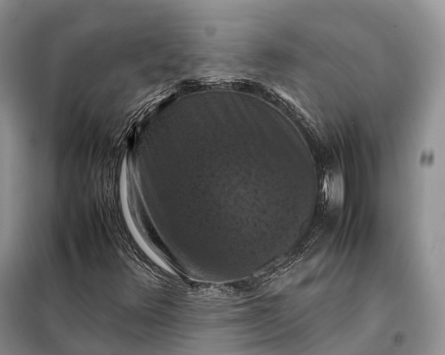 X0000098001348200804071208