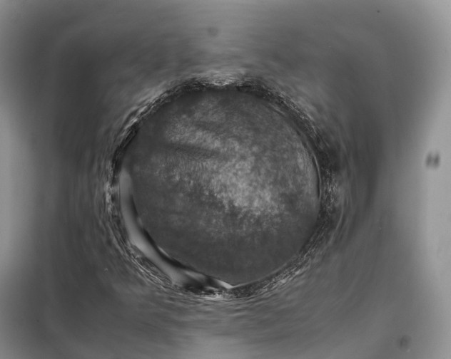 X0000098001349200804071208