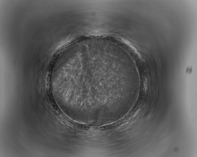 X0000098001350200804071208