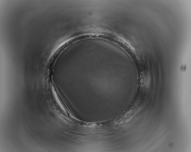 X0000098001352200804071207