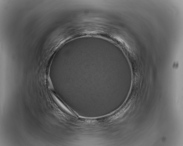 X0000098001353200804071207