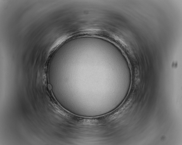 X0000098001354200804071207