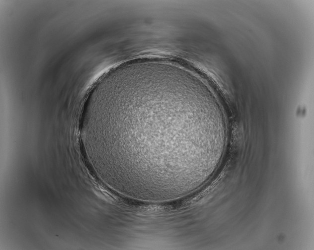 X0000098001355200804071207