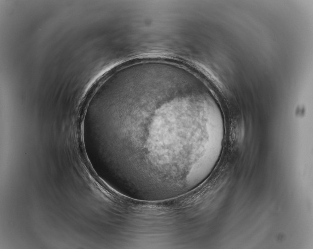 X0000098001356200804071207