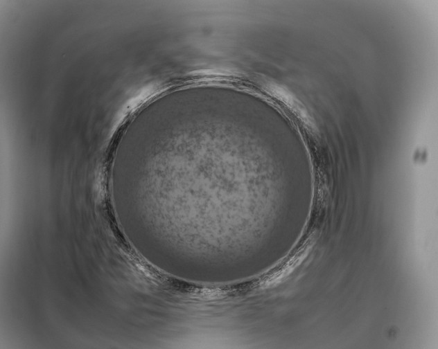 X0000098001357200804071207