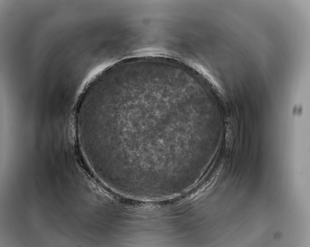 X0000098001358200804071207