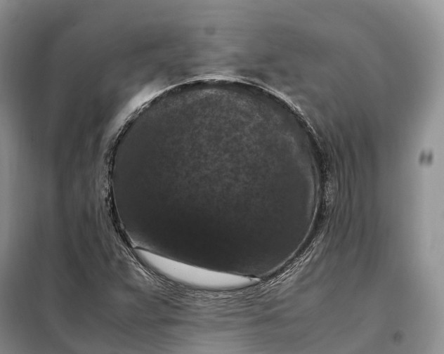 X0000098001359200804071207