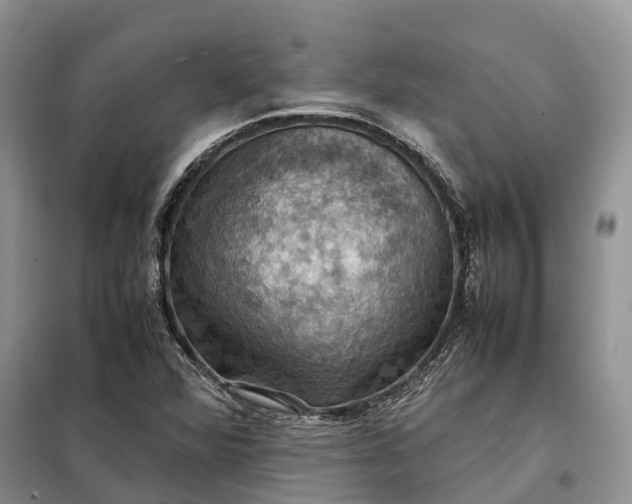 X0000098001360200804071207