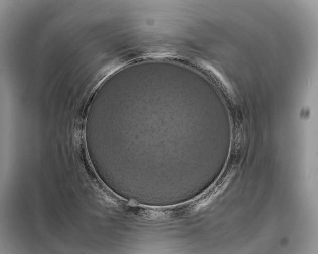 X0000098001361200804071207
