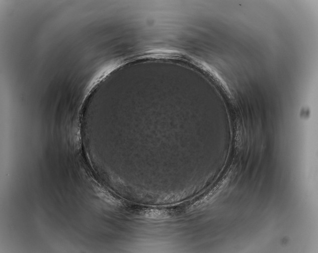 X0000098001362200804071207