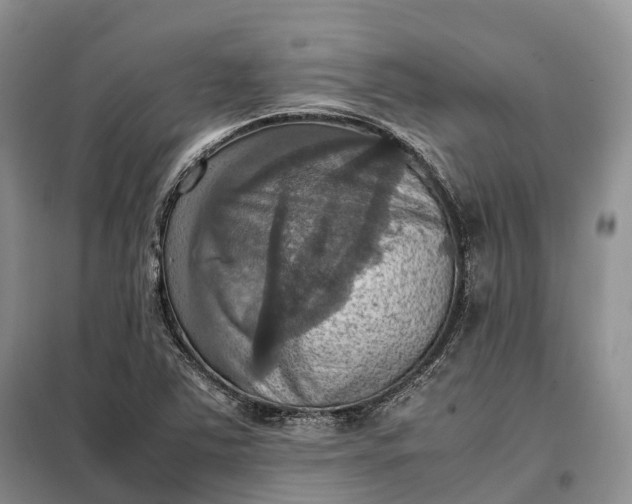 X0000098001363200804071207