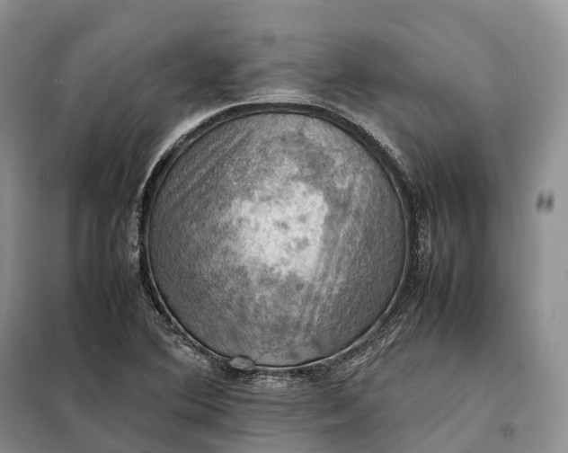 X0000098001364200804071207