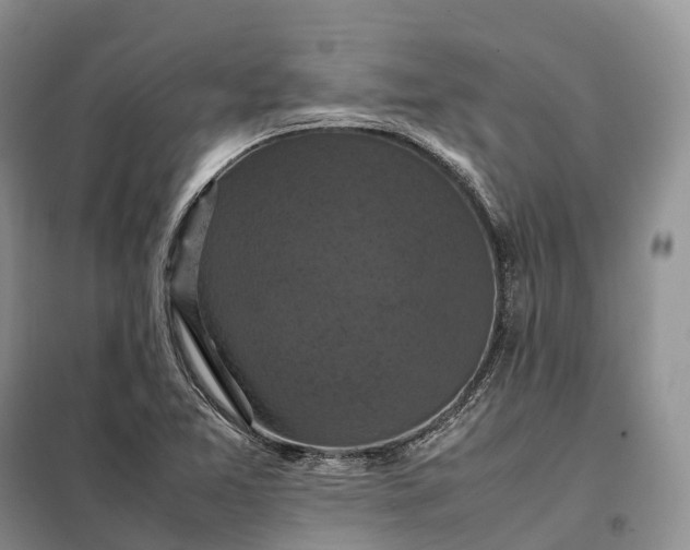 X0000098001365200804071207