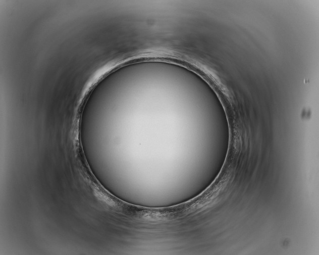 X0000098001366200804071207