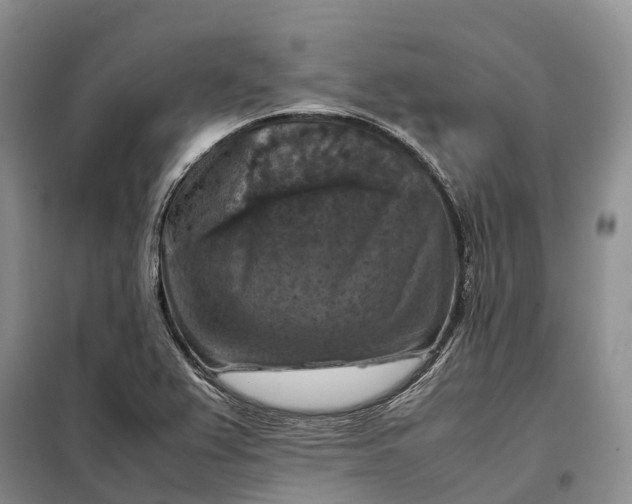 X0000098001367200804071207