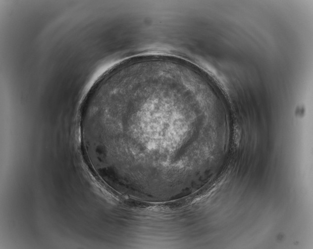 X0000098001368200804071207