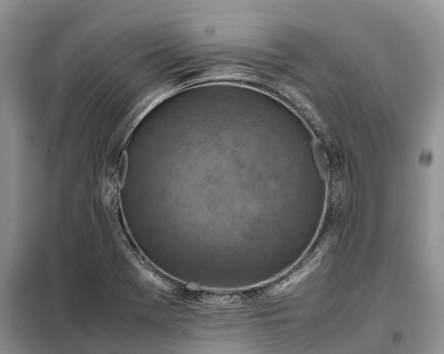 X0000098001369200804071207