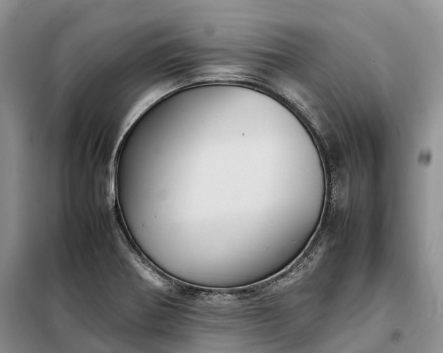 X0000098001370200804071207
