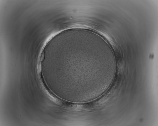 X0000098001371200804071207