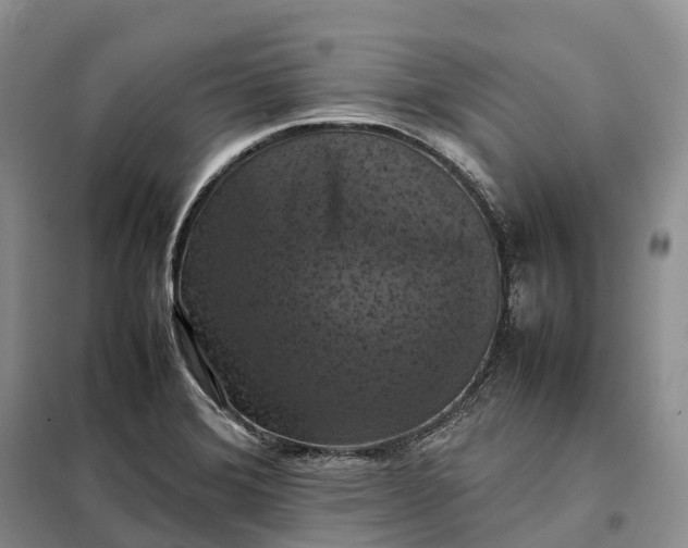 X0000098001372200804071207