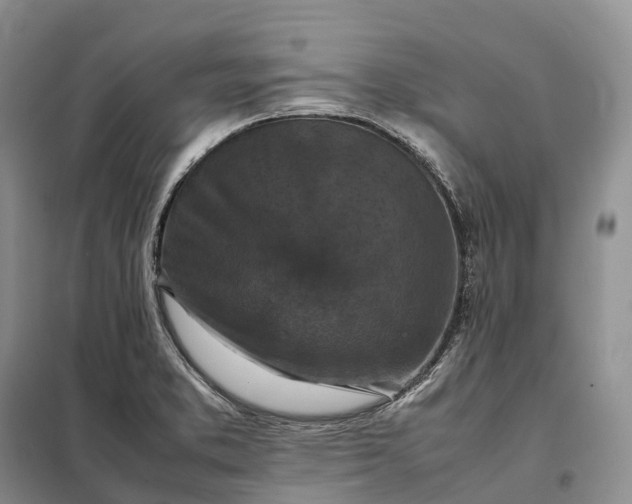 X0000098001373200804071207