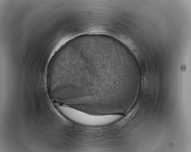X0000098001374200804071207