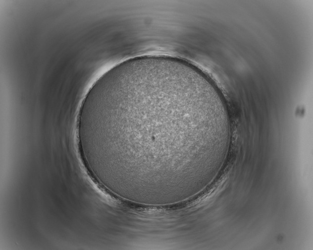 X0000098001375200804071207