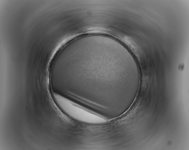 X0000098001376200804071207