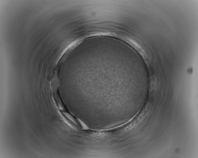 X0000098001377200804071207