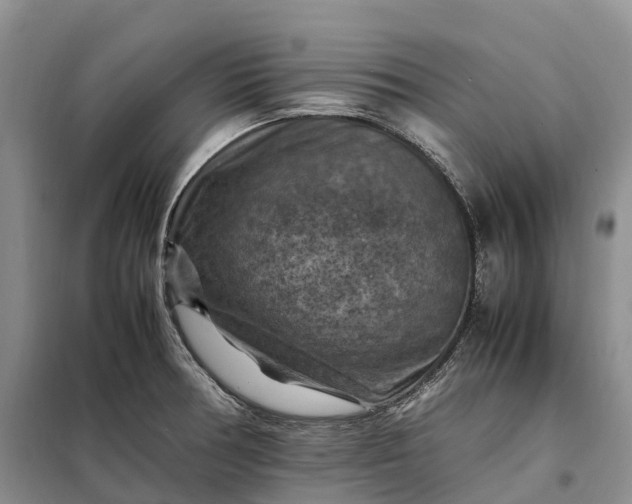 X0000098001378200804071207